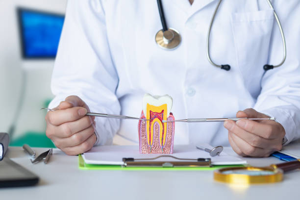 Best Emergency Orthodontic Repairs in Fox Island, WA